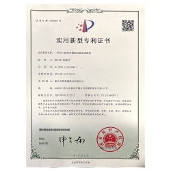 實用新型專利 (5)