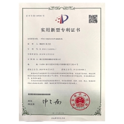 實用新型專利 (6)